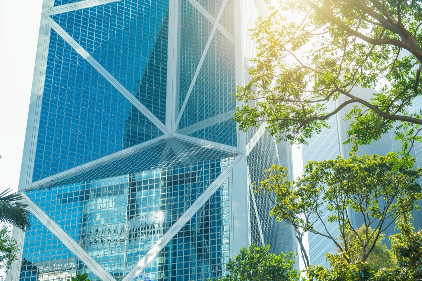 Modern office towers among tropical greenery